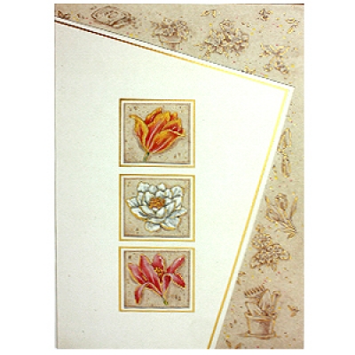 �������� ���������������