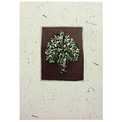 �������� ���������������