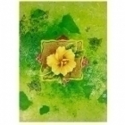 �������� ���������������