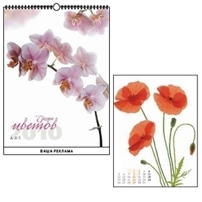 ��������� ��������� 