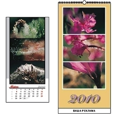 ��������� ��������� 