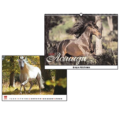 ��������� ��������� 