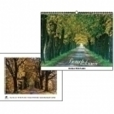 ��������� ��������� 