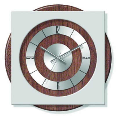 ���� ���������