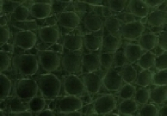  ���������� Caiman, ����� ����, ������� ����