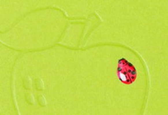 ���������� Garden. �5. ������-�������